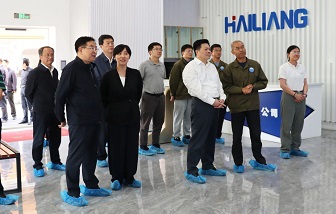 Vice Secretary-General of the National Development and Reform Commission, Xiao Weiming, Visits Gansu Hailiang New Energy Materials Co., Ltd. for Research