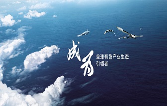 “銅芯”引領 智造未來！海亮股份獨家冠名《2021年中國銅產(chǎn)業(yè)鏈分布圖》