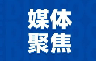 媒體聚焦 | “地瓜經(jīng)濟(jì)”為什么能贏？海亮股份是這樣做的