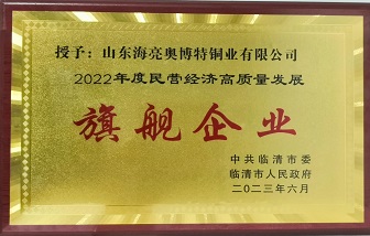 牛！山東海亮榮獲“2022年度民營經(jīng)濟(jì)高質(zhì)量發(fā)展旗艦企業(yè)”稱號